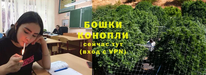 Марихуана THC 21%  купить наркотик  Петушки 